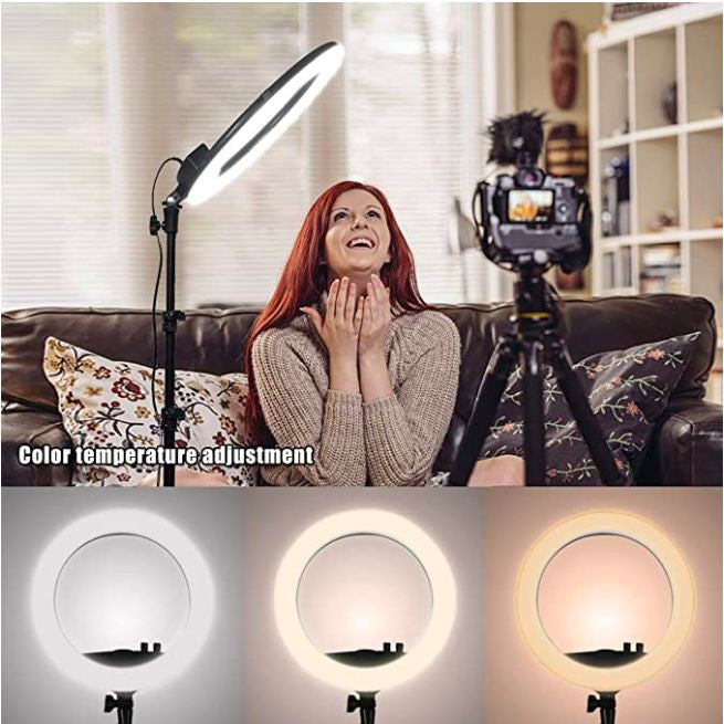 YQ-320 Ring Light 30cm with Stand,12 30W Dimmable LED Ring Light with Remote Control and Touch Key - Tuzzut.com Qatar Online Shopping
