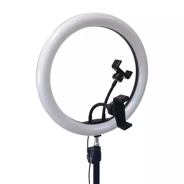 12-Inch Selfie Ring Fill Led Light With Tripod and Two Mobile Holders - Tuzzut.com Qatar Online Shopping