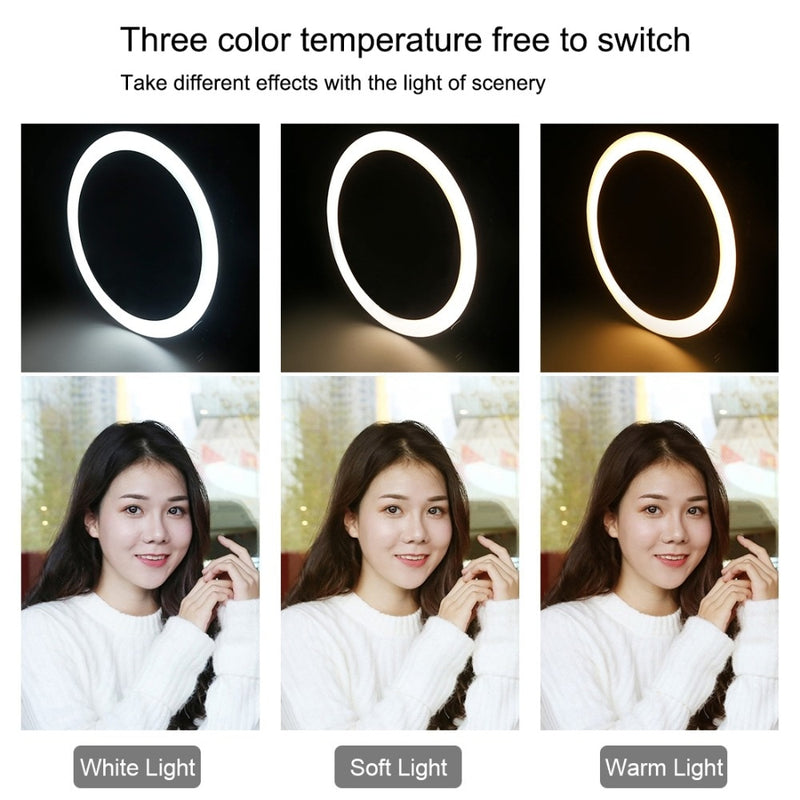 10-Inch Selfie Ring Fill Light Zd666 - 2600Lm 8W 120 Led With Tripod - Tuzzut.com Qatar Online Shopping
