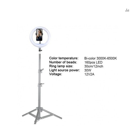 YQ-320 Ring Light 30cm with Stand,12 30W Dimmable LED Ring Light with Remote Control and Touch Key - Tuzzut.com Qatar Online Shopping