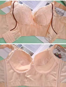 Fashion Women Lace Bra Plus Size Push Up Deep U Seamless Underwear 129841 - TUZZUT Qatar Online Shopping