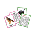 Discover Birds - FLASH CARDS