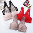 Front Bukle Women Bra 78567 - TUZZUT Qatar Online Shopping