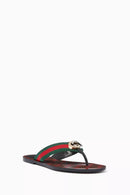 Thong Web Sandals S4445 - TUZZUT Qatar Online Shopping