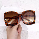 Womens  Fashion Sunglasses S4586325 - TUZZUT Qatar Online Shopping