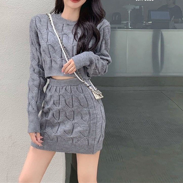 2 Pcs Women's Long Sleeve Solid Color Skirts Set 469446 2 Pcs Women's Long Sleeve Solid Color Skirts Set 469446
