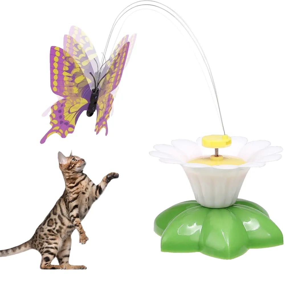 Befied Electric Cat Toy B-5977110 Befied Electric Cat Toy B-5977110