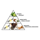 Haramain Najm Gold, 18ml, Concentrated Perfume Oil - TUZZUT Qatar Online Shopping