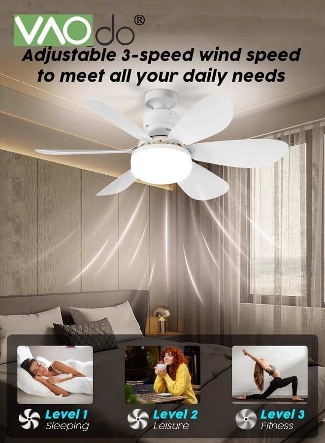 Fan Ceiling Fan with LED Light Light with Remote 0001598 - TUZZUT Qatar Online Shopping