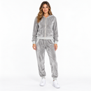 Women’s Silver Grey Velour Hoodie & Jogger Set - 2XL