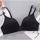 Ladies Pushup Seamless Tinned Padded Bra   338371 - TUZZUT Qatar Online Shopping