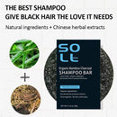 Sol lora Charcoal Hair Darkening Bar - Natural Shampoo Soap Bar for White to Black Hair - 60g (Pack of 3 Pcs) - TUZZUT Qatar Online Shopping