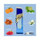 Vogue Night EDP Spray 100 ML By Maison Alhambra