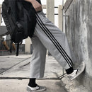 Women's Colorblock/ Stitching Color Sweatpant M 372977 - TUZZUT Qatar Online Shopping