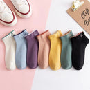 5 Pairs Women 's Sneaker Sock 295898 - TUZZUT Qatar Online Shopping