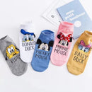 5 Pcs Women 's Sneaker Sock 489275 - TUZZUT Qatar Online Shopping