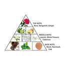 amber_oud_ultra_voilet-pyramid_2