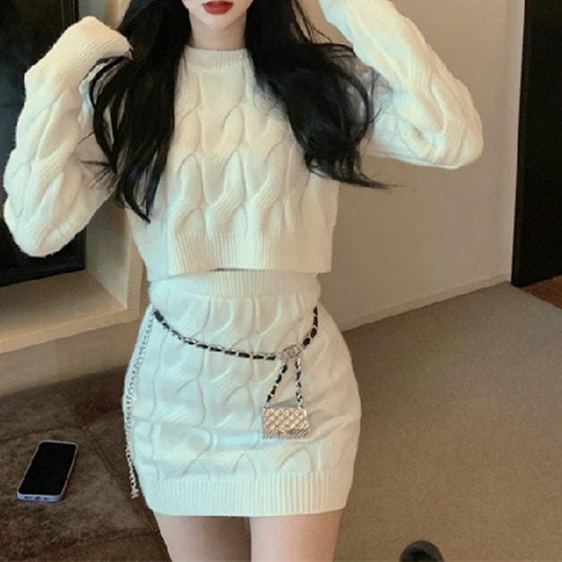 2 Pcs Women's Long Sleeve Solid Color Skirts Set 469446 2 Pcs Women's Long Sleeve Solid Color Skirts Set 469446