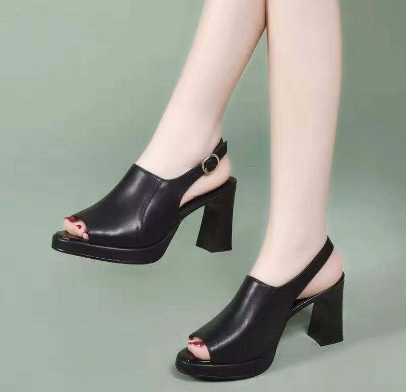 Women's Platform Sandals, Classic Summer Thick Heel   B89085  (38,39,40) - TUZZUT Qatar Online Shopping