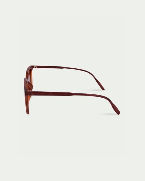 Pop Brown Frame & Brown Lens Unisex Sunglasses X4415291 Pop Brown Frame & Brown Lens Unisex Sunglasses X4415291