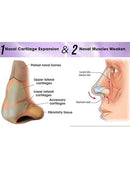 EELHOE Noselift Nose Sculpfing Device EEA06 - TUZZUT Qatar Online Shopping