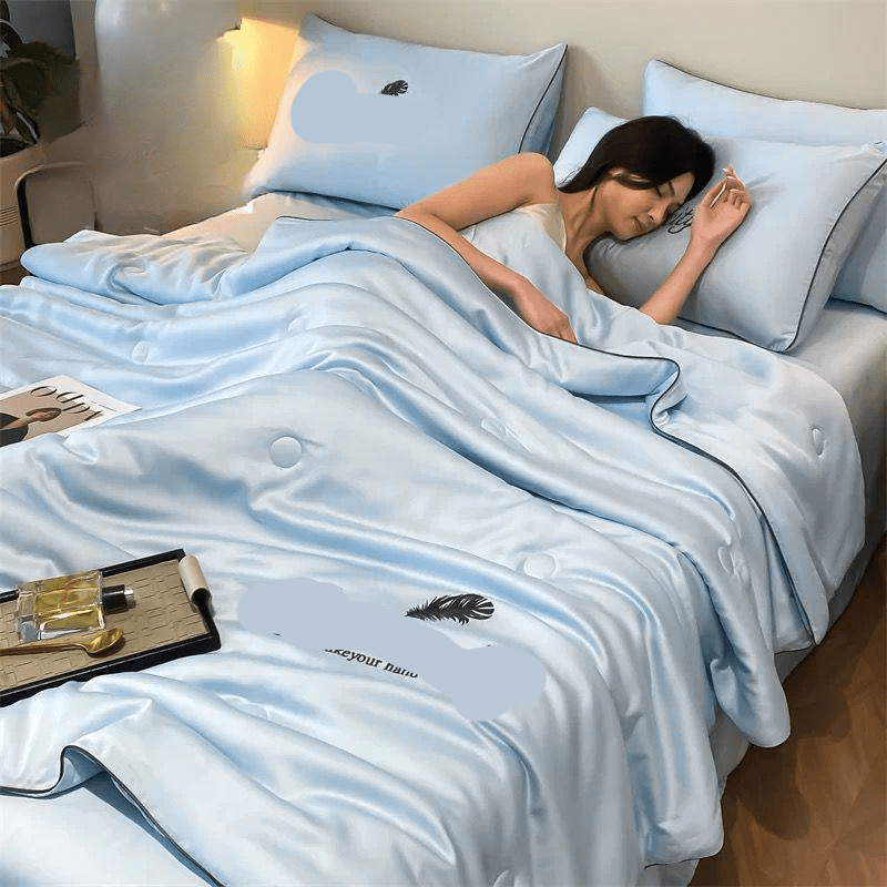 Silky Embroidered Bedsheet And Pillow Cover 3Pcs B-252644