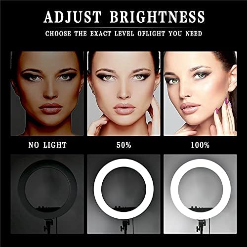 Selfie Ring Light RL-21" with Light Stand, Color Filter, Phone Holder for Makeup, YouTube, TikTok, Camera/Phone Video Shooting