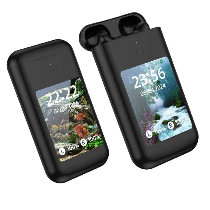 Carrying Treasure Multimedia Device With Earbuds LB20