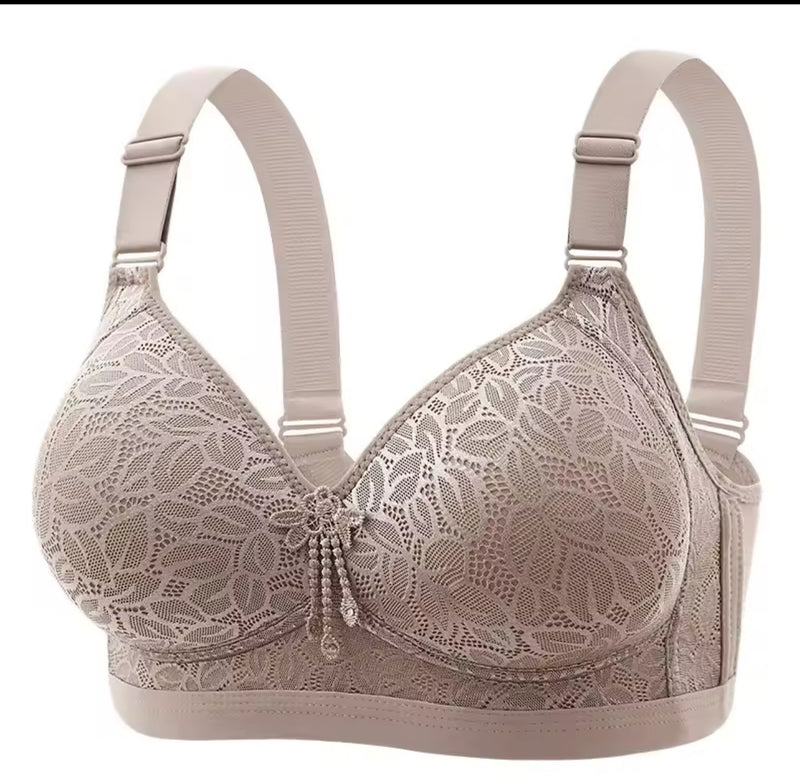 Large Size Lace Bra 208 73664 - TUZZUT Qatar Online Shopping