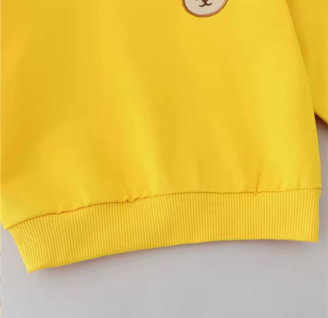 Baby Long sleeved Little Bear Embroidered Hoodie Two Piece Set 1519759 Baby Long sleeved Little Bear Embroidered Hoodie Two Piece Set 1519759