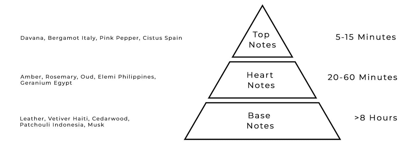 Aurora Cafe Citadel EDP 100ml Unisex Perfume Aurora Cafe Citadel EDP 100ml Unisex Perfume