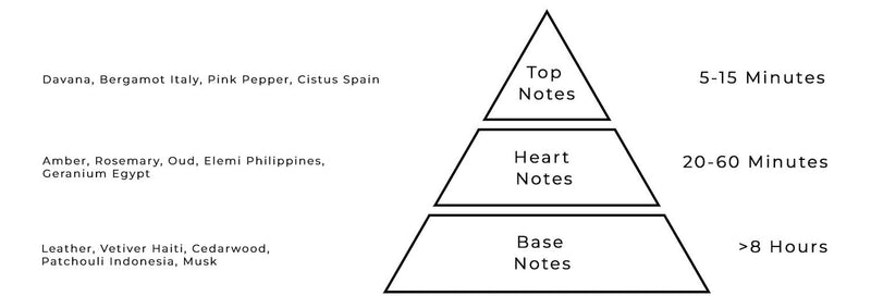 Aurora Cafe Citadel EDP 100ml Unisex Perfume - TUZZUT Qatar Online Shopping