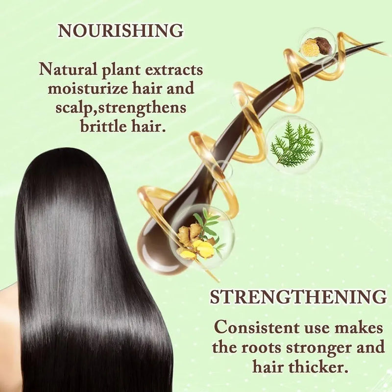 Ginger Plant Extract Convolute Anti-Hair Loss Shampoo