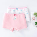 2pcs Kids Baby Girls Cute Cartoon Boxer Briefs Soft Boyshort Panties 1309029 - TUZZUT Qatar Online Shopping