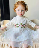 Baby Girls Floral Dress Toddler Tulle One Piece Long Sleeve 1441248 - TUZZUT Qatar Online Shopping