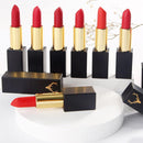 Lipstick Glossy Lipstick Waterproof Long Lasting Without Smudging Velvet Lip Gloss TTX - TUZZUT Qatar Online Shopping