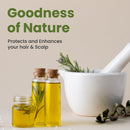 EELHOE Rosemary Essential Oil - 30ml - TUZZUT Qatar Online Shopping