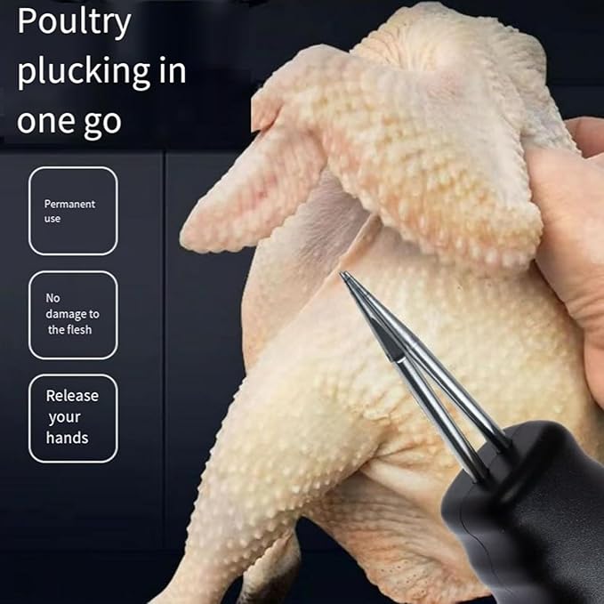 Electric Quick Chicken Plucker B-343168 - TUZZUT Qatar Online Shopping