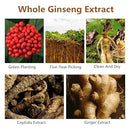 Ginseng Gold Anti-Wrinkle Light Line Essence 100ml - TUZZUT Qatar Online Shopping