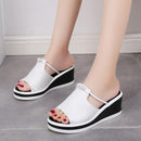 GMH Women's Wedge Sandal WS0021 - TUZZUT Qatar Online Shopping