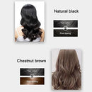 Plant Bubble Hair Dye Shampoo 300ml - Tuzzut.com Qatar Online Shopping