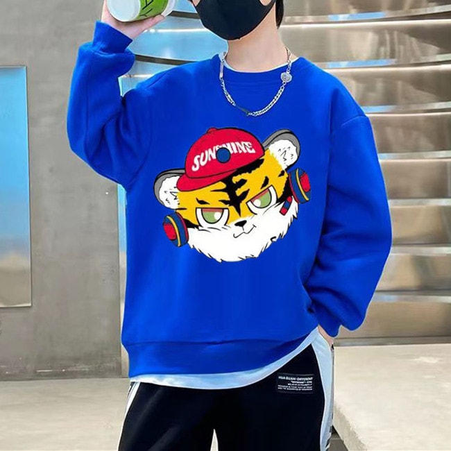 Boys Sweatshirt 464063 Boys Sweatshirt 464063