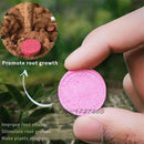 Gardening Universal Slow-Release Tablet Organic Fertilizer Plant Flowers - TUZZUT Qatar Online Shopping
