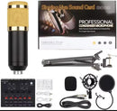 Professional Condenser Microphone - TUZZUT Qatar Online Shopping