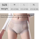 Elastic Ultra-thin Lace Flower Briefs Transparent Mid Waist Lace Mesh Panties 135837 - TUZZUT Qatar Online Shopping