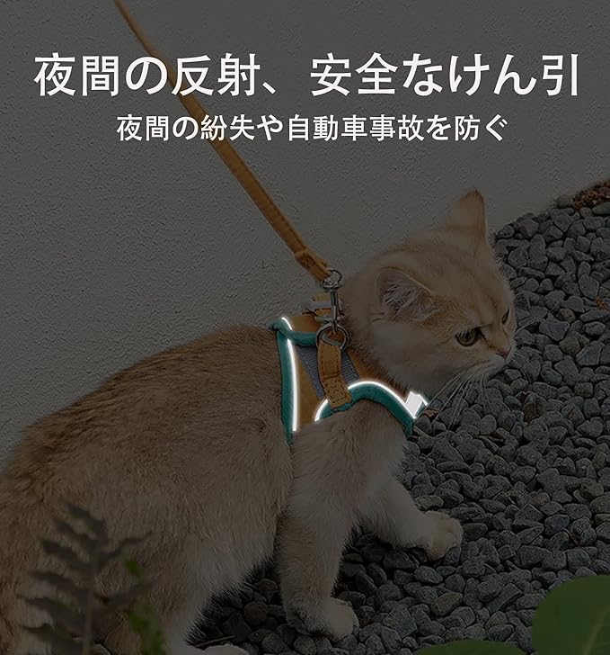 Cat Harness for Cats, Cat Gear, Cat Accessories S4937063 Cat Harness for Cats, Cat Gear, Cat Accessories S4937063