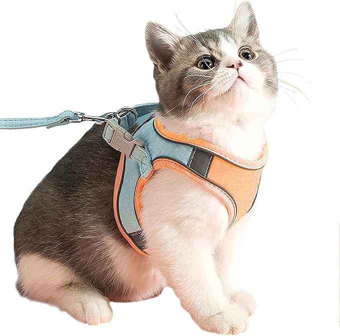 Cat Harness for Cats, Cat Gear, Cat Accessories S4937063 Cat Harness for Cats, Cat Gear, Cat Accessories S4937063
