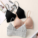 6 Pcs Women's Seamless Lingerie Push Up Crop Tube Top Bra - D3012 - TUZZUT Qatar Online Shopping