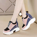 Women's Fashion Sneaker 231884 - TUZZUT Qatar Online Shopping