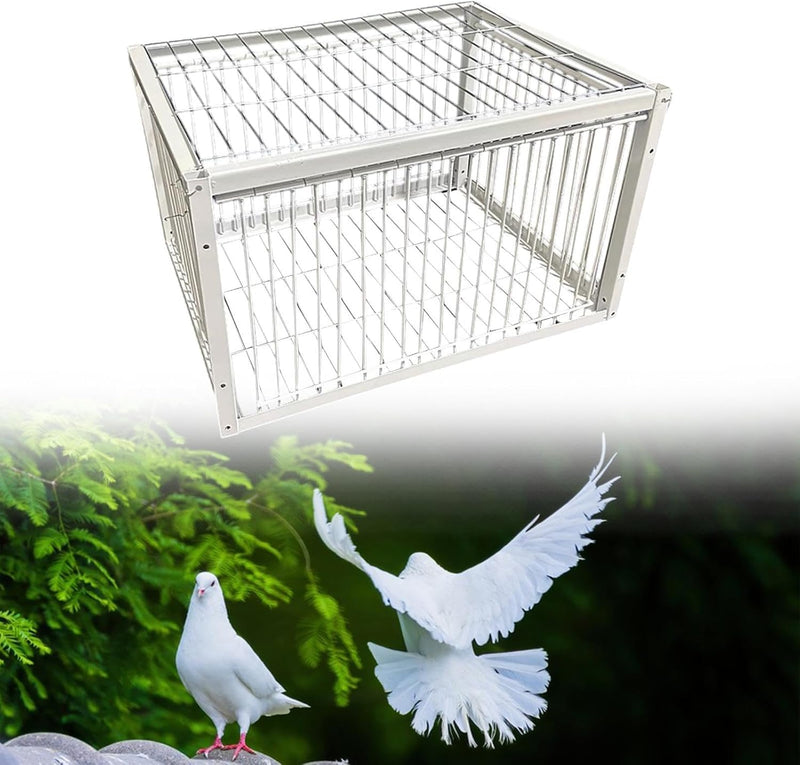 Multifunctional Birdcage, 4 Way Entrance - TUZZUT Qatar Online Shopping